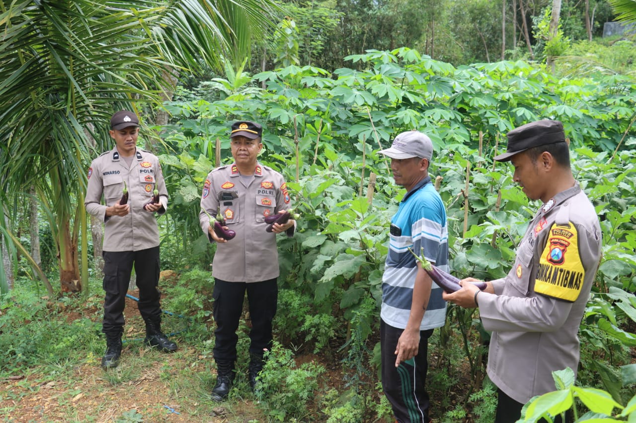 gambar whatsapp 2025 05 16 pukul 07.40.46 bc8b9cd1