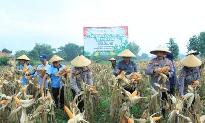 img 20250524 wa0018