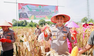 img 20250525 wa0155
