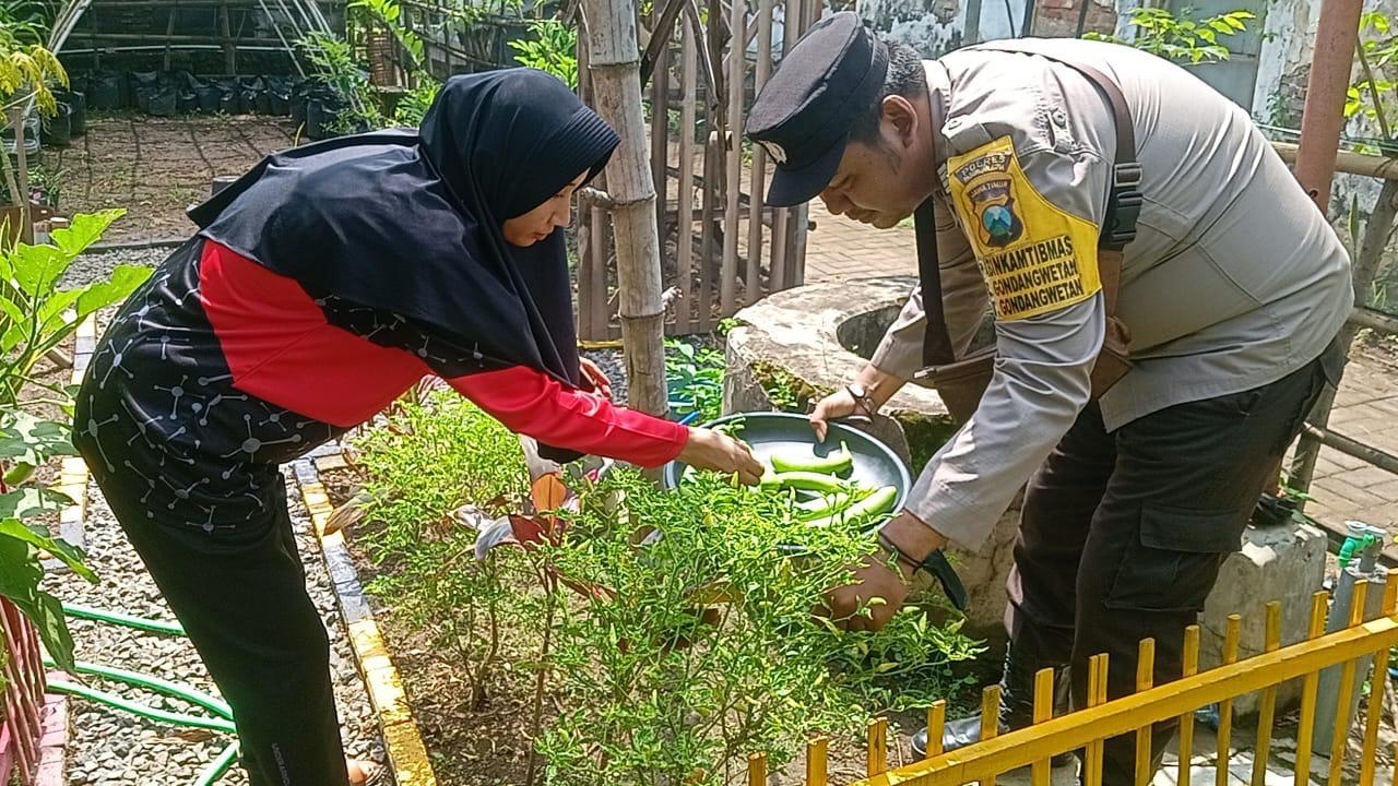 whatsapp image 2025 05 07 at 18.06.33 8f53351b