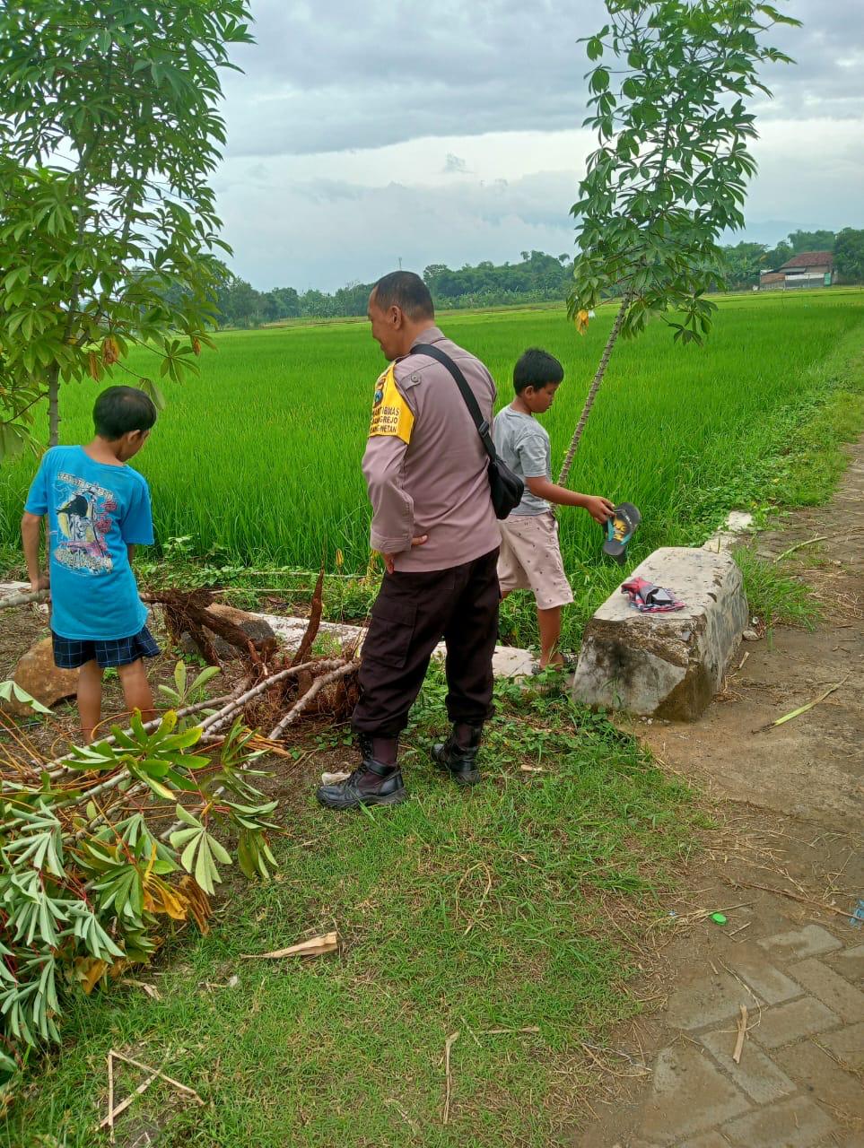 whatsapp image 2025 05 08 at 14.18.57 39b8d3a1