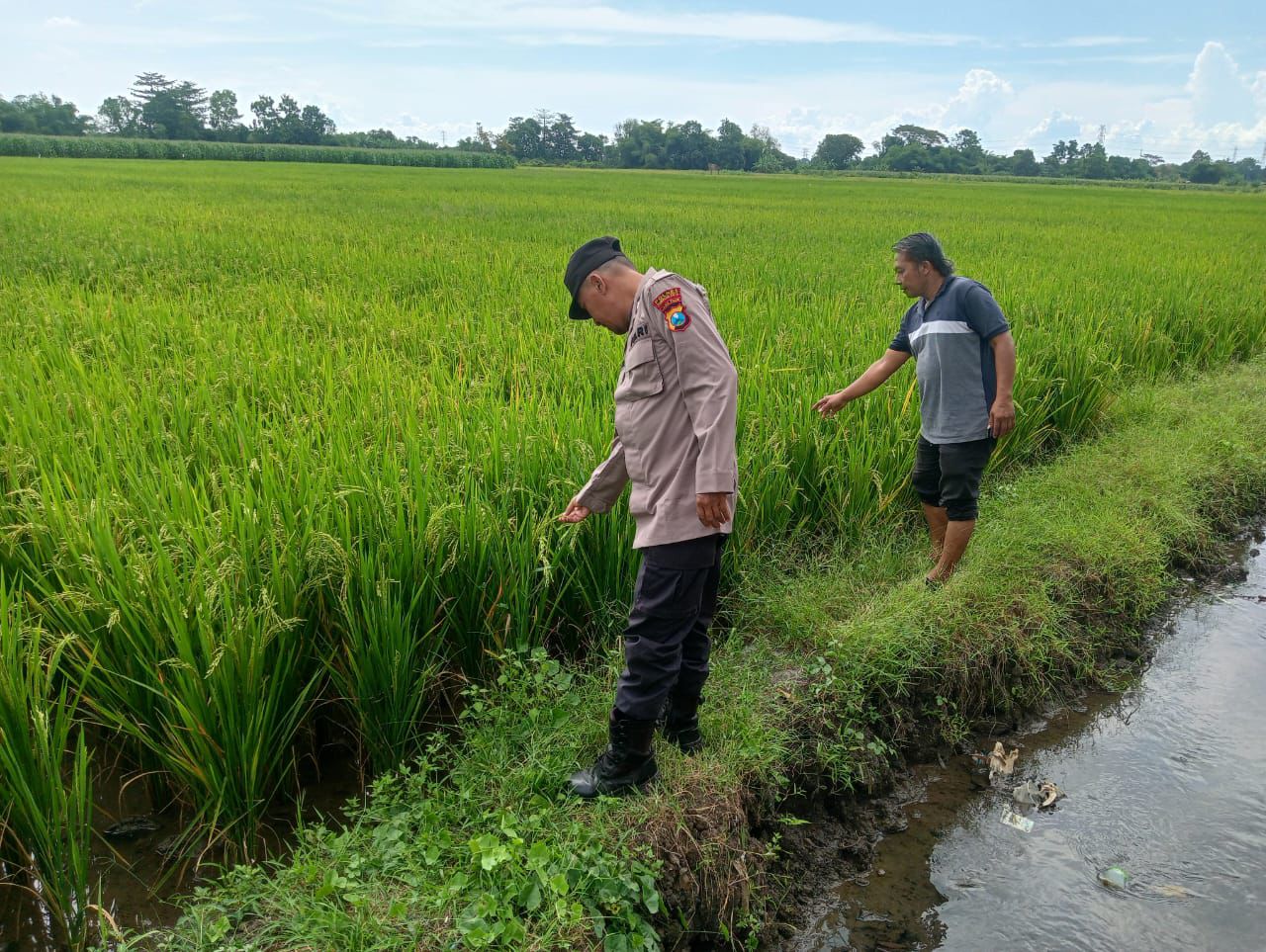 whatsapp image 2025 05 08 at 14.19.11 478623ae