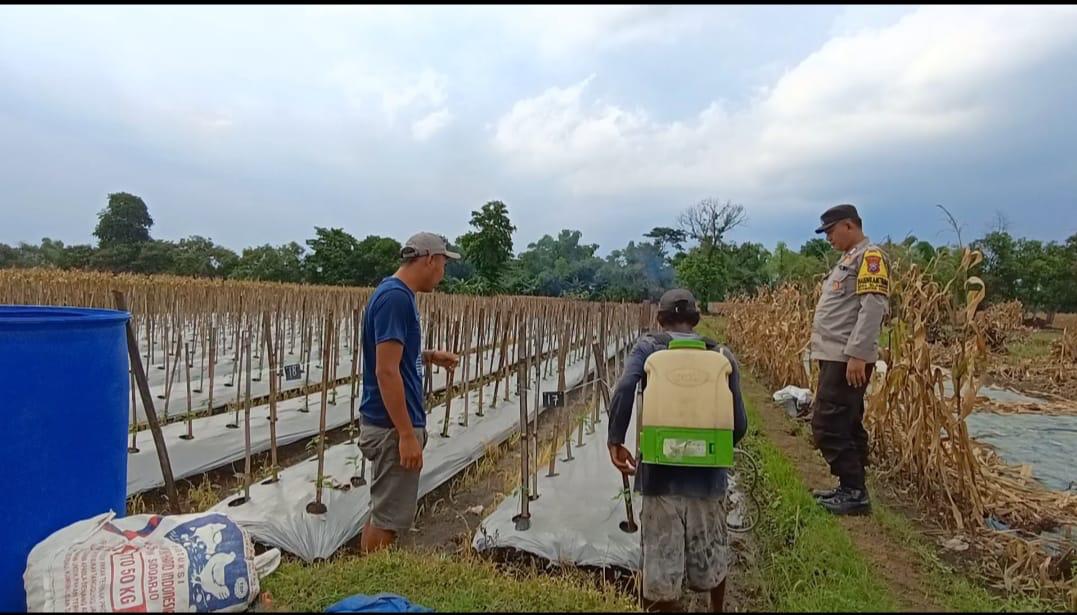 whatsapp image 2025 05 13 at 16.47.27(1)