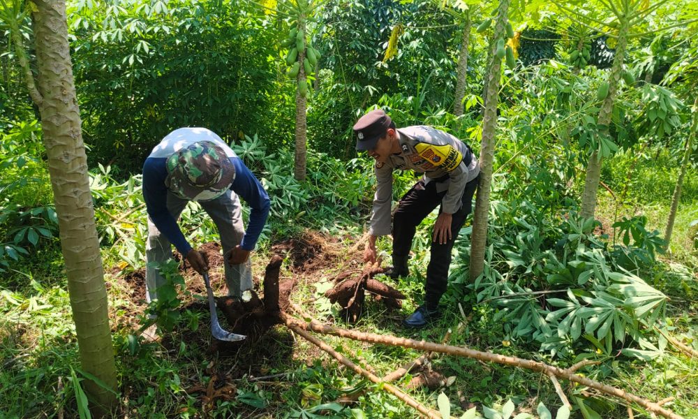 whatsapp image 2025 05 15 at 05.26.49