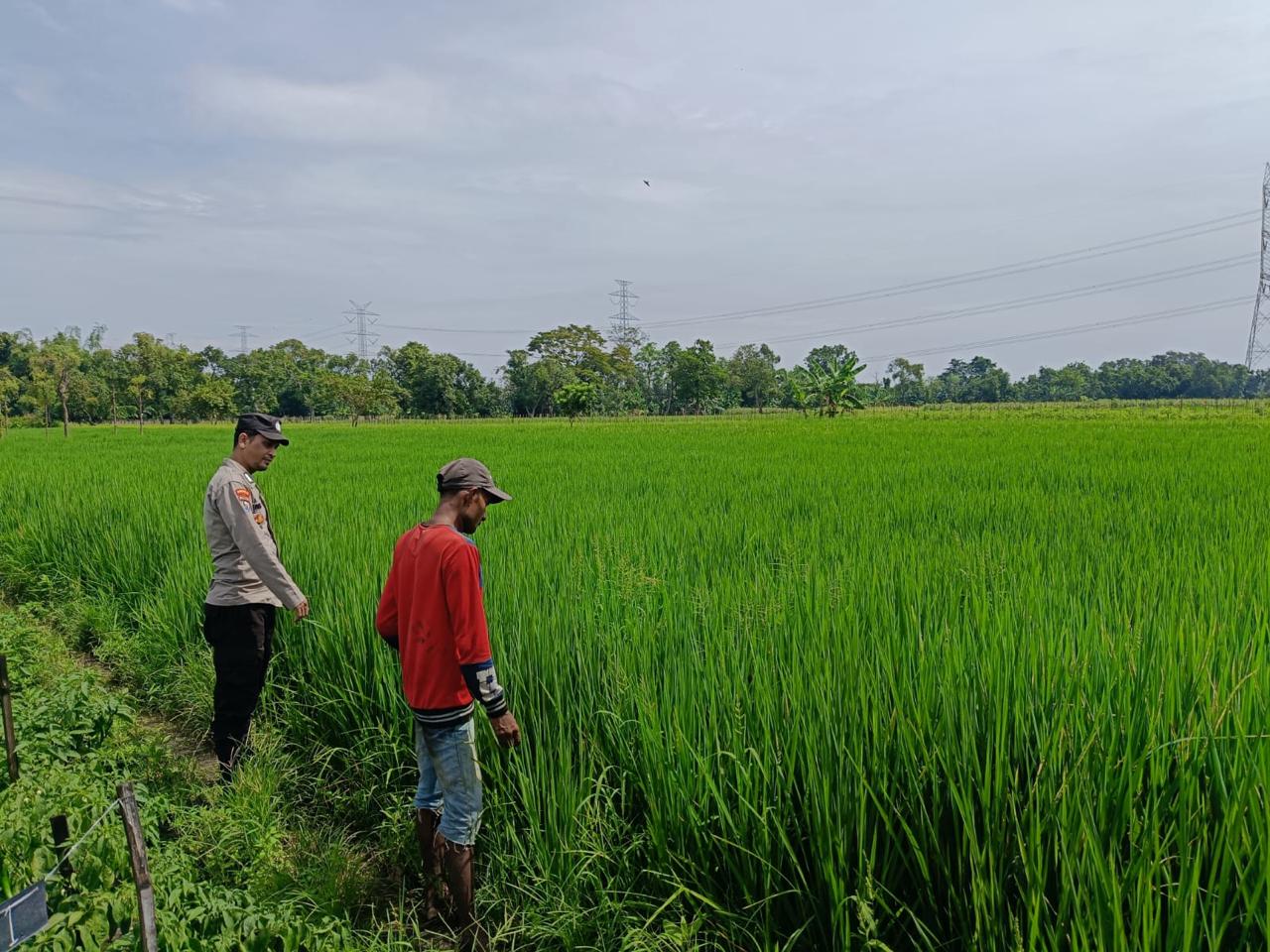 whatsapp image 2025 05 17 at 15.31.51 592d4f90