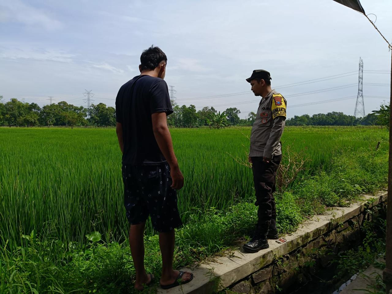 whatsapp image 2025 05 17 at 15.31.51 fd816b06