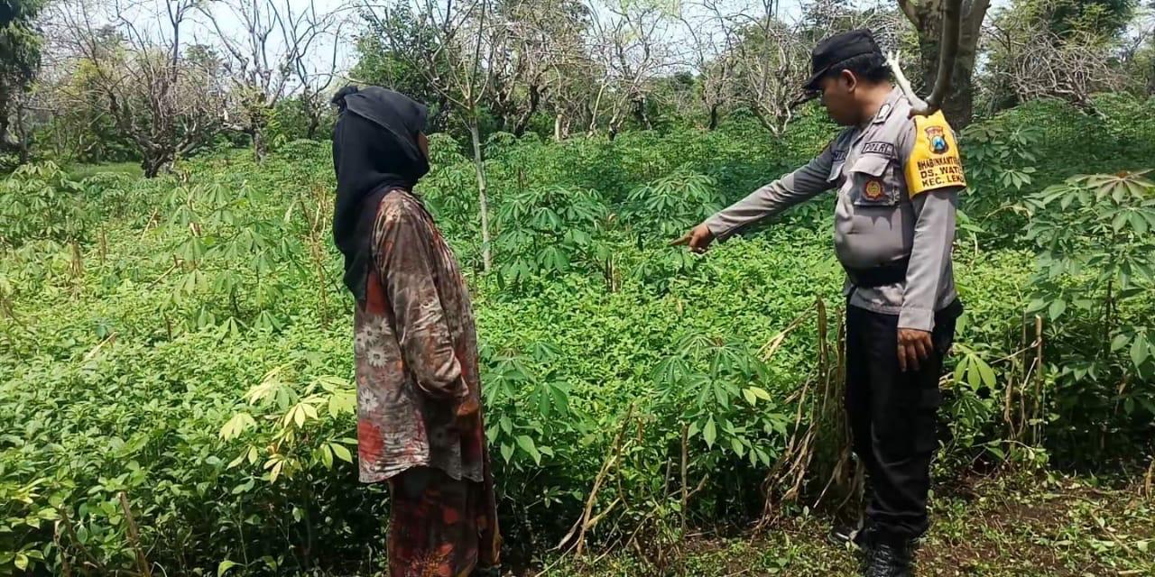 whatsapp image 2025 05 18 at 06.19.32 24ab7daf