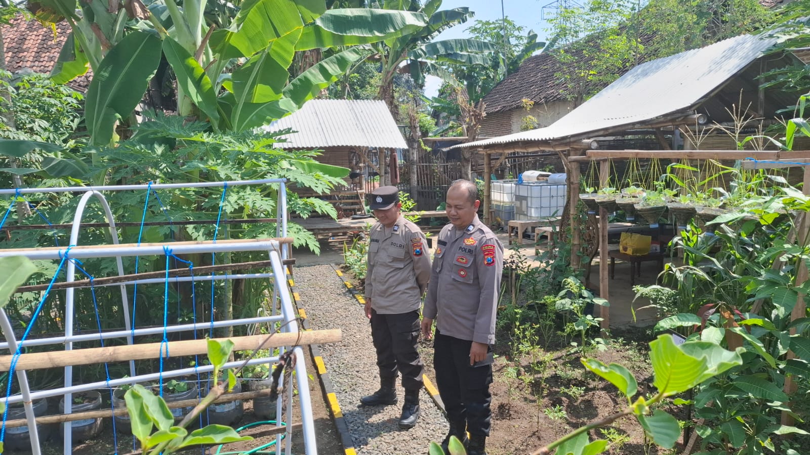 whatsapp image 2025 05 20 at 00.36.34