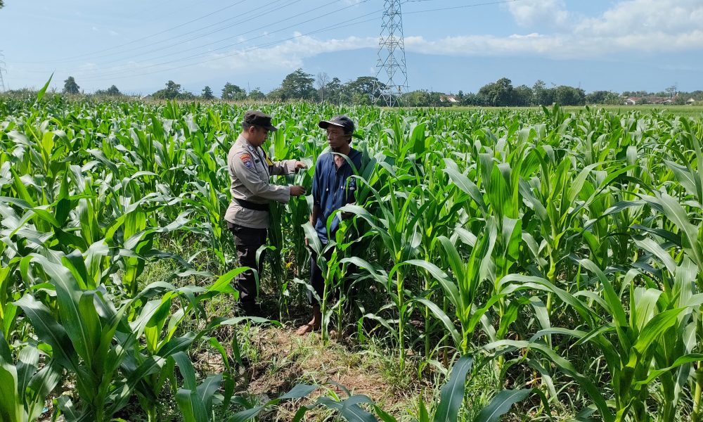 whatsapp image 2025 05 21 at 18.01.23