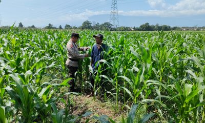 whatsapp image 2025 05 21 at 18.01.23