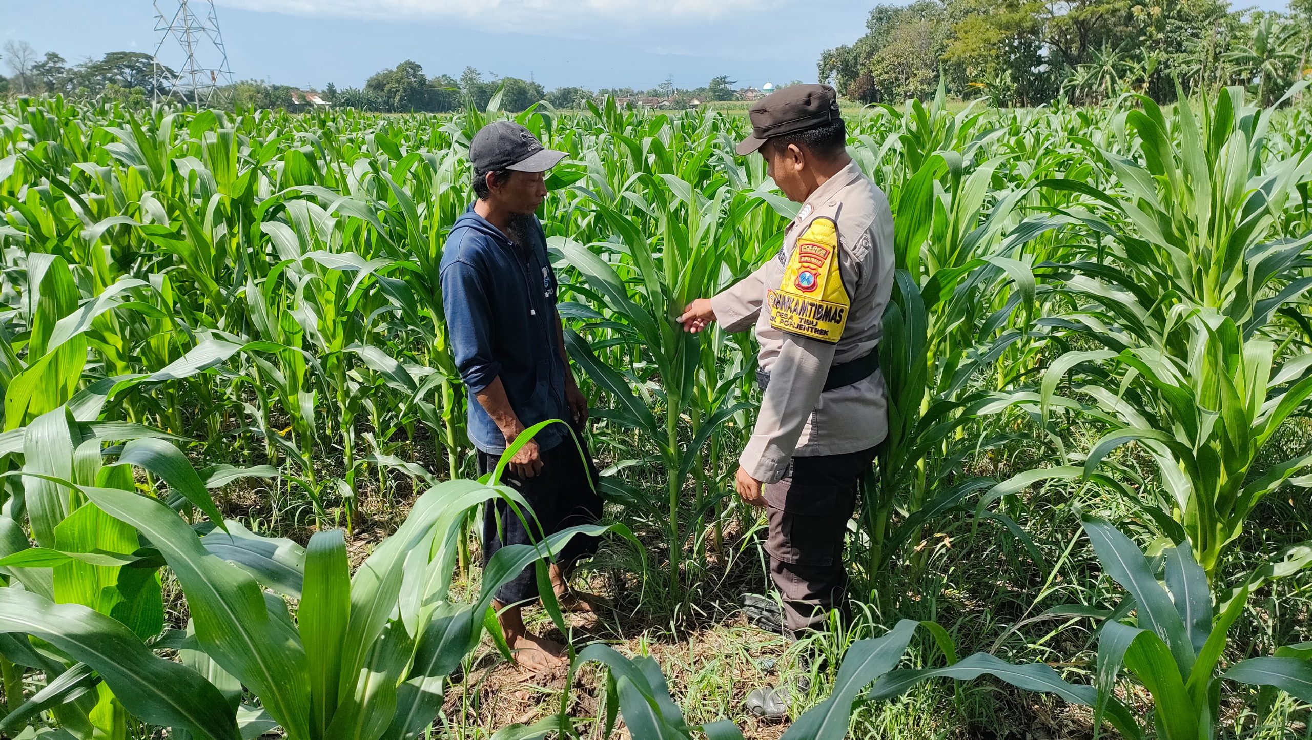 whatsapp image 2025 05 21 at 18.01.23(1)