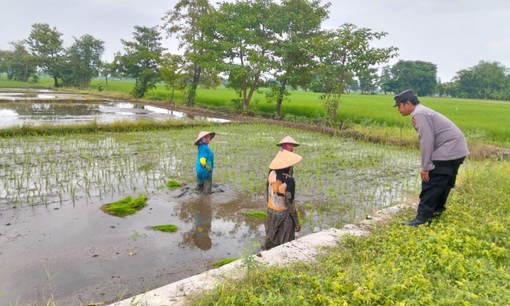 whatsapp image 2025 05 22 at 17.11.04 5045c275