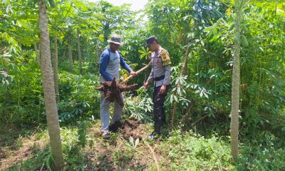 whatsapp image 2025 05 23 at 00.40.07