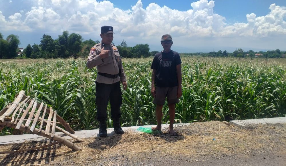 whatsapp image 2025 05 27 at 15.26.27 93166fc4