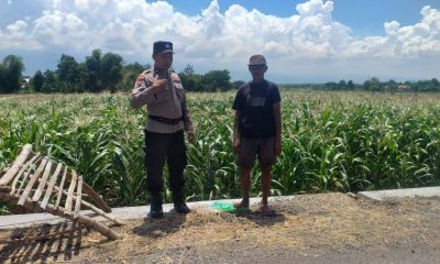 whatsapp image 2025 05 27 at 15.26.27 93166fc4