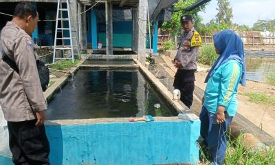 whatsapp image 2025 05 30 at 14.44.08 0e6d9433