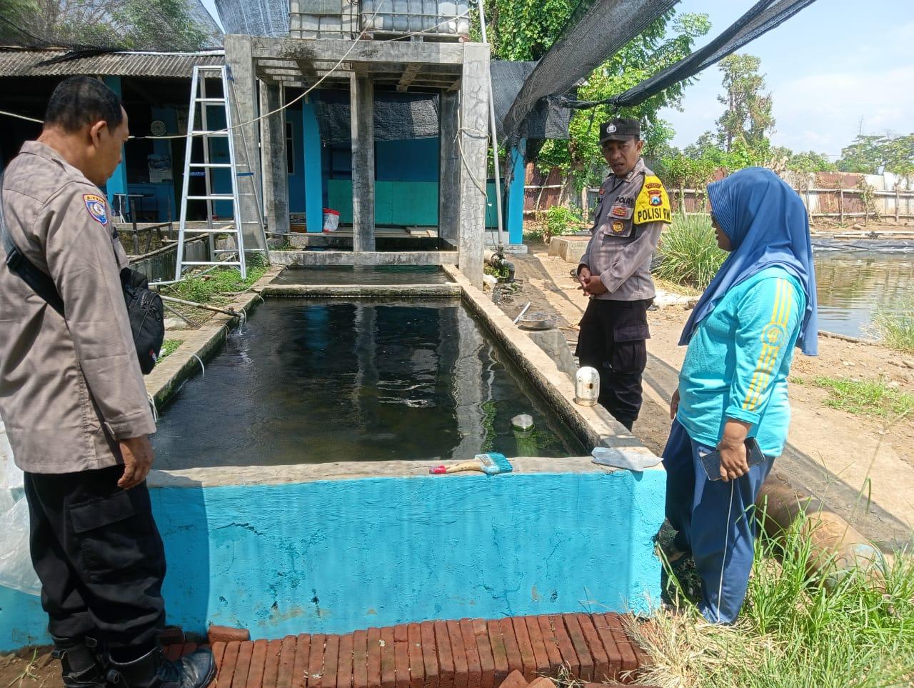 whatsapp image 2025 05 30 at 14.44.08 0e6d9433