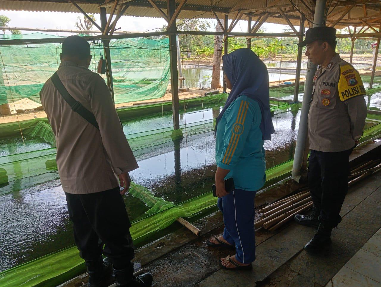 whatsapp image 2025 05 30 at 14.44.09 3dd62748