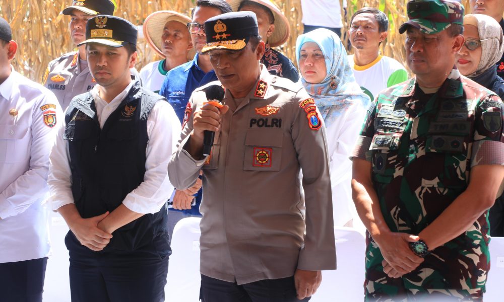 gambar whatsapp 2025 06 05 pukul 14.38.39 e11fe1d9