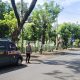 img 20250602 wa0001