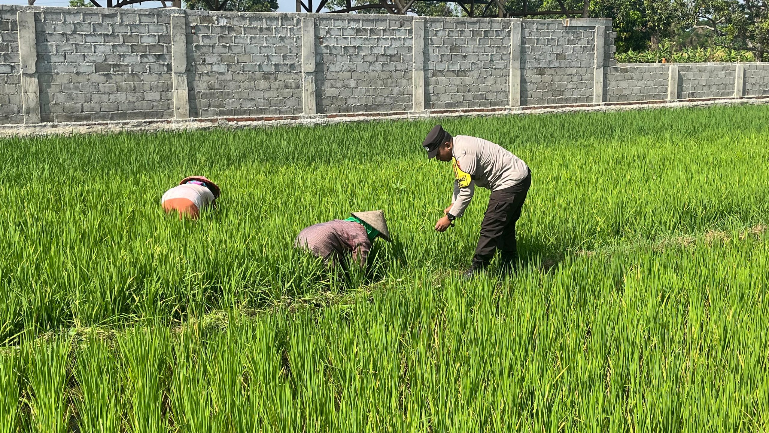 whatsapp image 2025 06 09 at 11.13.36 1a764fde