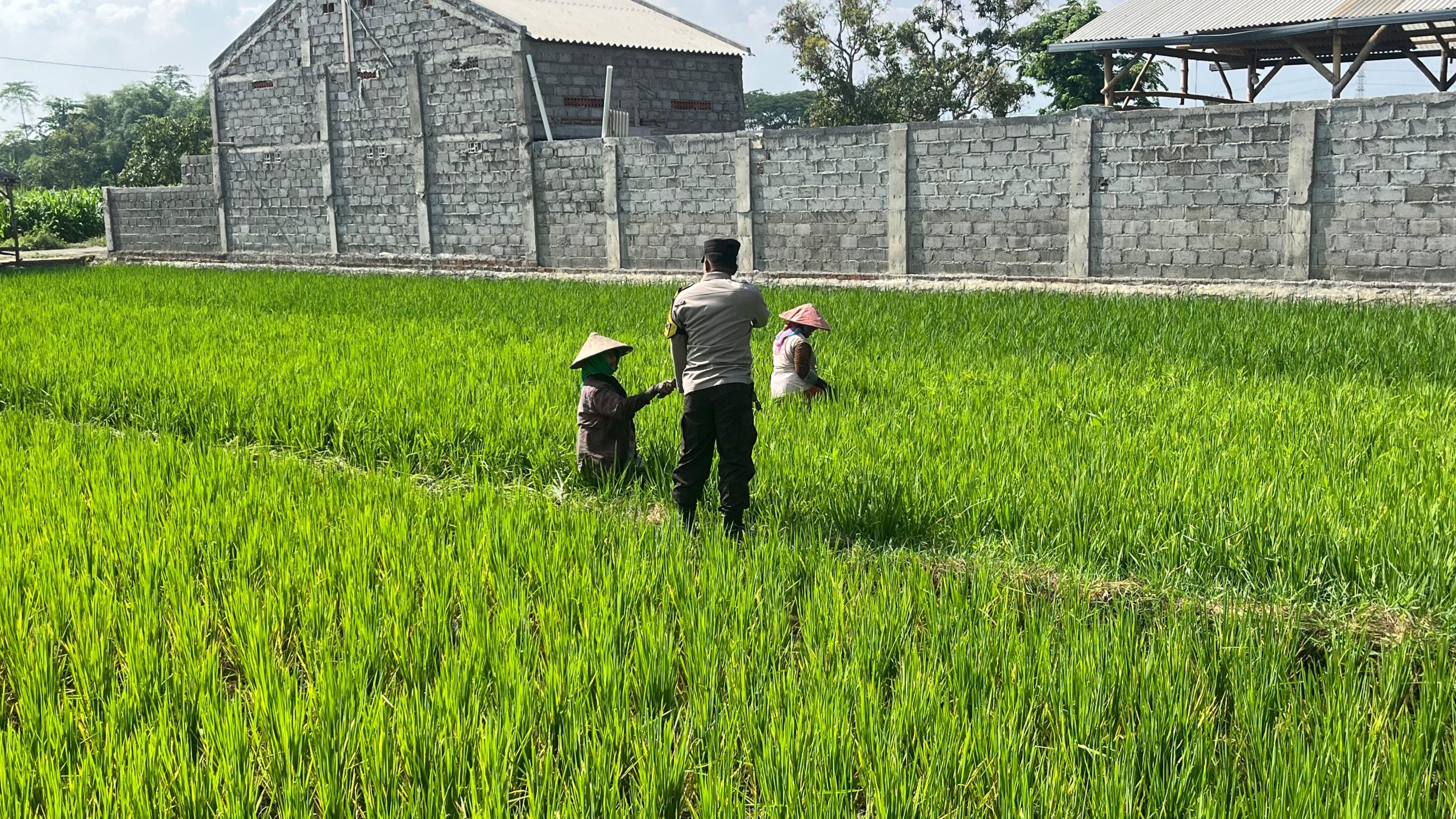 whatsapp image 2025 06 09 at 11.13.36 640c7231