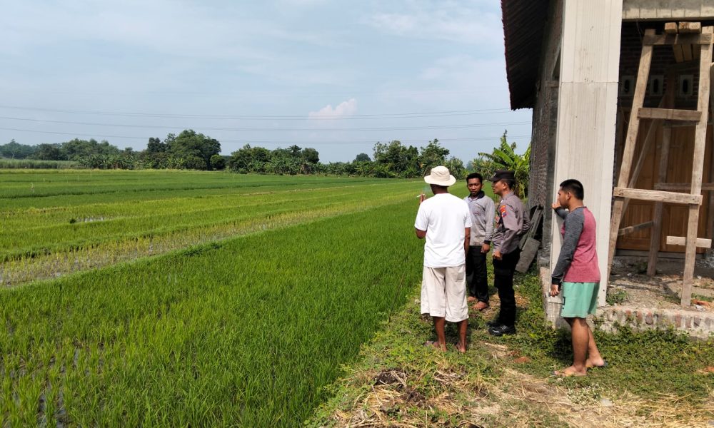 whatsapp image 2025 06 16 at 09.02.16