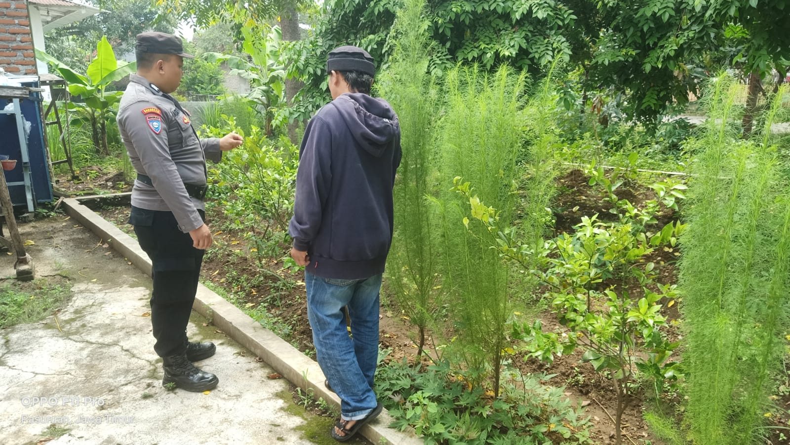 whatsapp image 2025 06 20 at 11.20.19