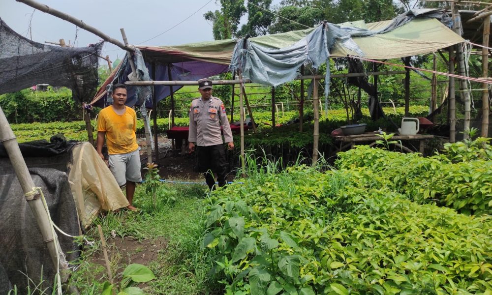 1dffe162 ace9 45e9 9e9d 7f1b2928252d