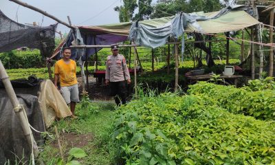 1dffe162 ace9 45e9 9e9d 7f1b2928252d