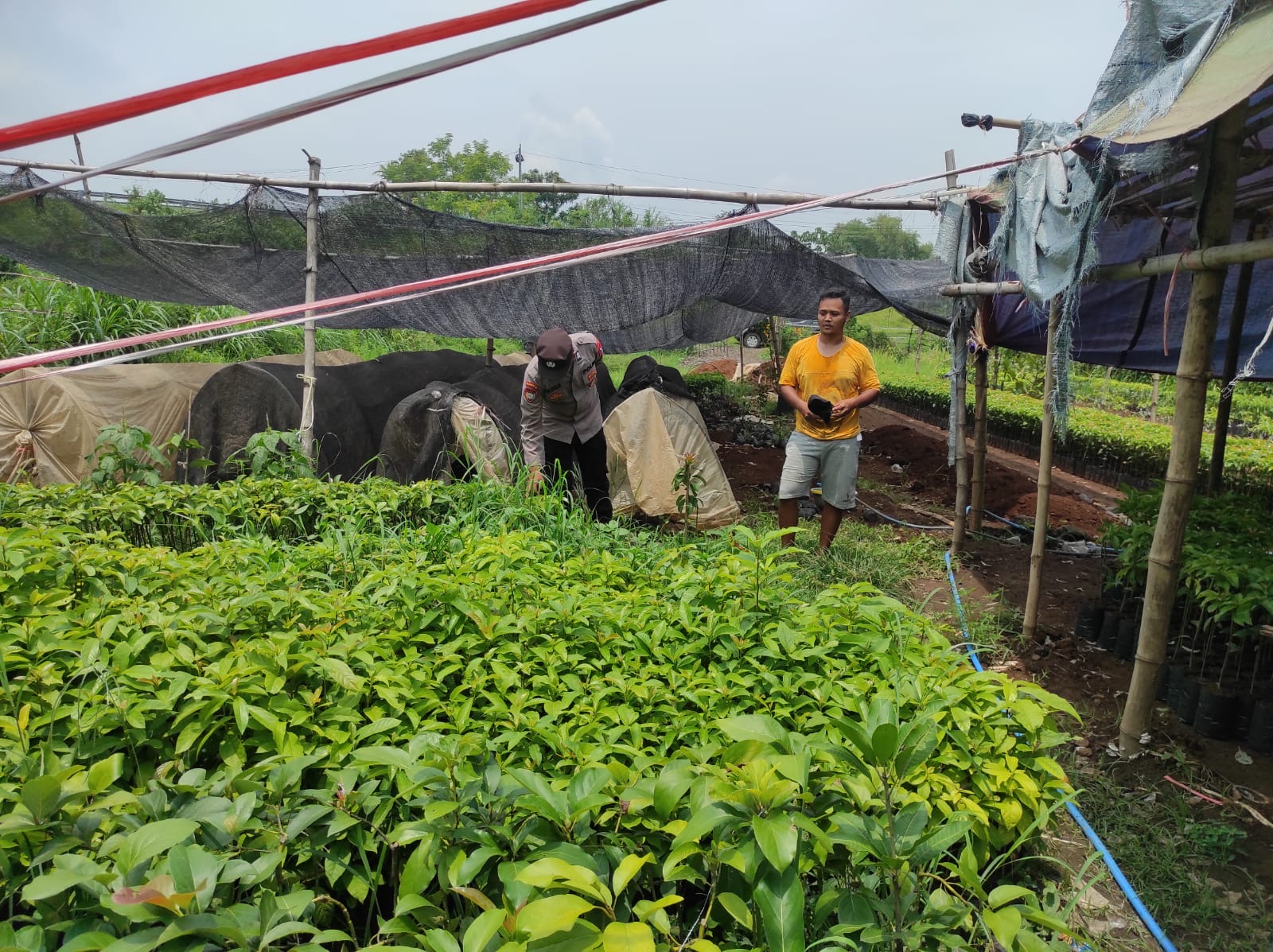 364cddd2 70fc 45e7 8f99 254cb801ebf0