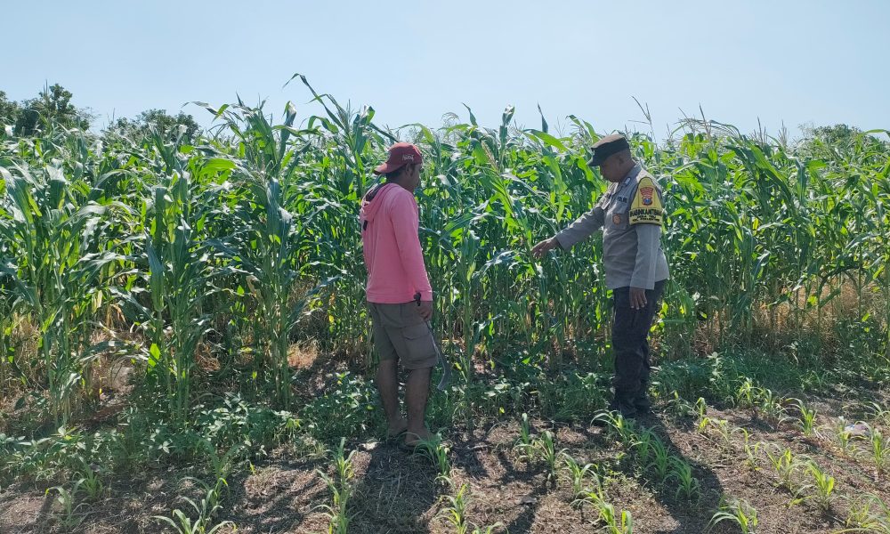 whatsapp image 2025 07 13 at 17.14.14 85eb6117