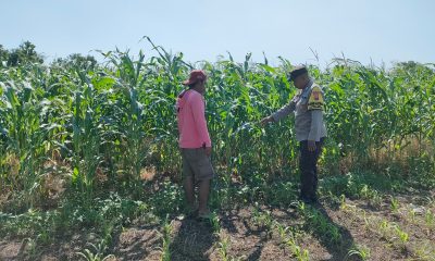 whatsapp image 2025 07 13 at 17.14.14 85eb6117