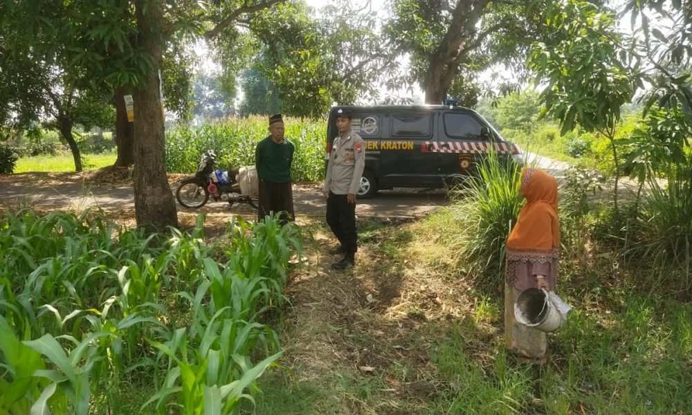 whatsapp image 2025 07 17 at 17.14.11 234b46ab