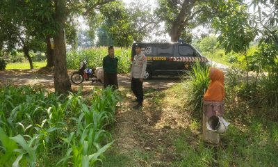 whatsapp image 2025 07 17 at 17.14.11 234b46ab