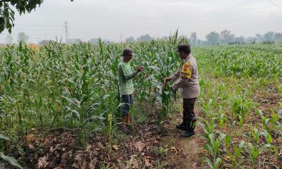 whatsapp image 2025 07 17 at 19.12.52