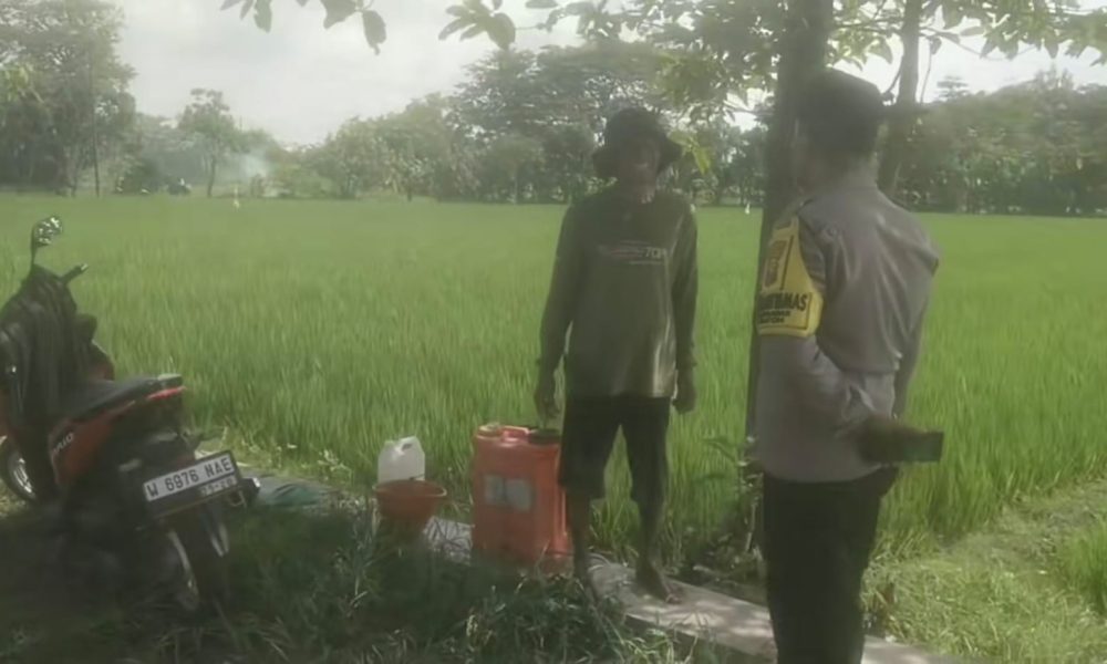 whatsapp image 2025 07 19 at 12.45.02