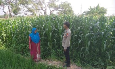 whatsapp image 2025 07 22 at 17.23.07 94fb6098