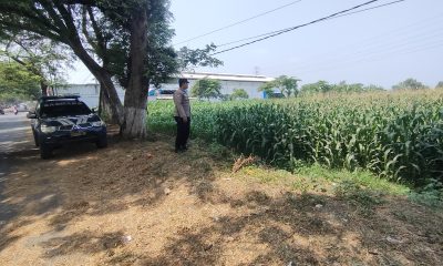 9b2b8cf0 7cfc 42a0 b2d9 502ed03a4e9d