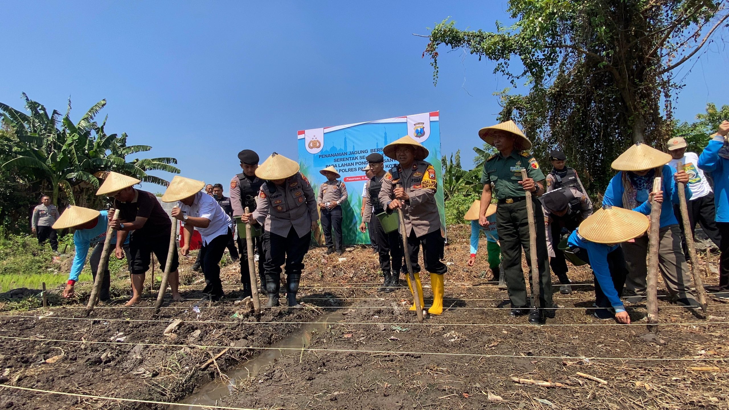 whatsapp image 2025 08 06 at 16.22.48