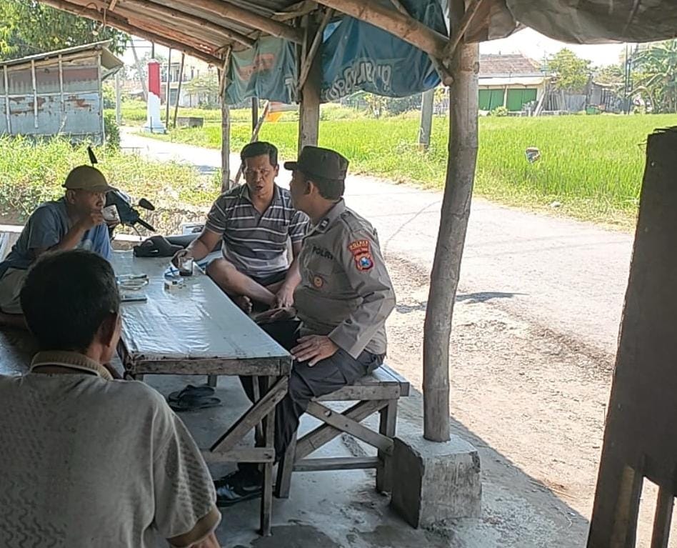 whatsapp image 2025 08 17 at 16.55.40