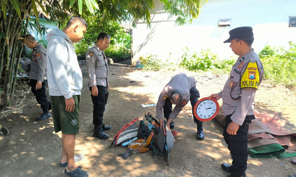 Respons Cepat Laporan Call Center 110, Polsek Keboncandi Gerebek Lokasi Dugaan Judi Sabung Ayam di Gondangwetan