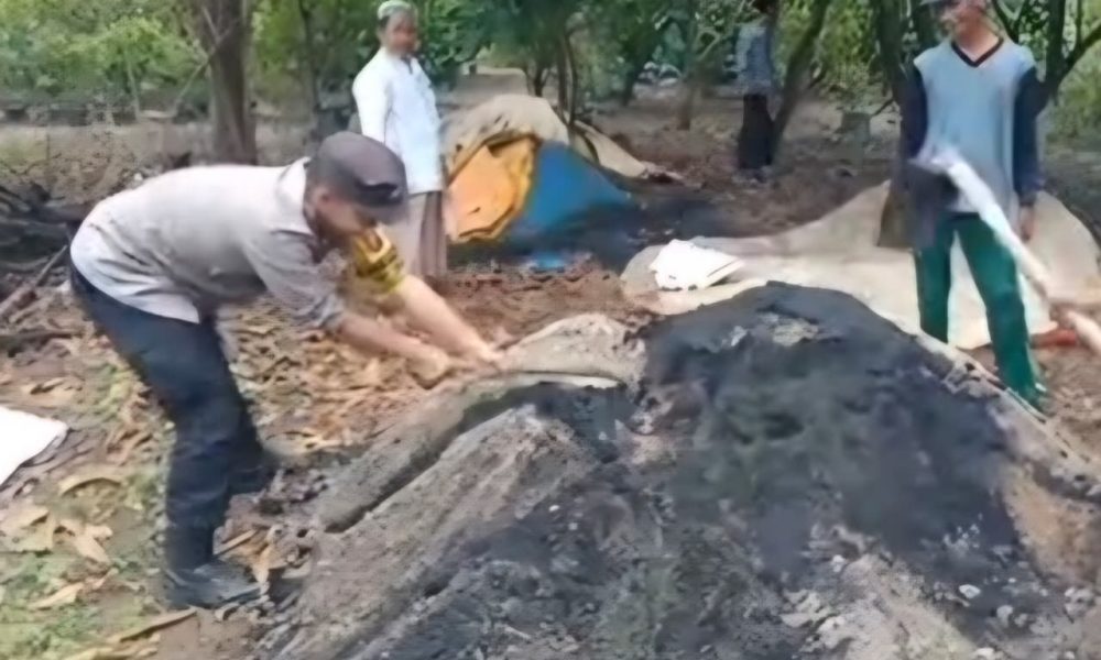 Bhabinkamtibmas Polsek Kraton Dampingi Petani, Dukung Ketahanan Pangan Nasional