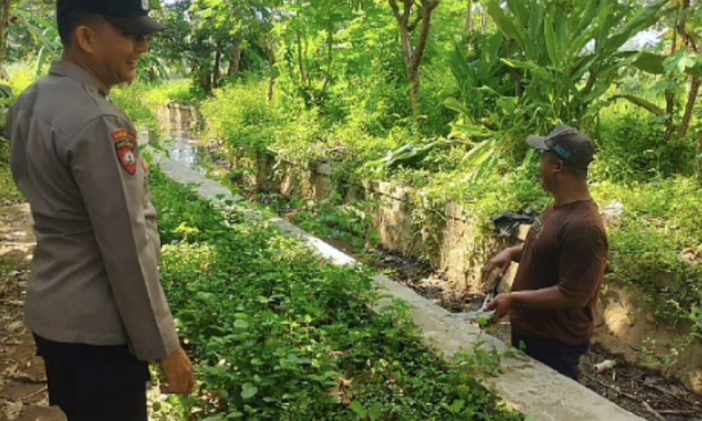 Dukung Swasembada Pangan, Bhabinkamtibmas Polsek Bugul Kidul Perkuat Pendampingan Kelompok Tani