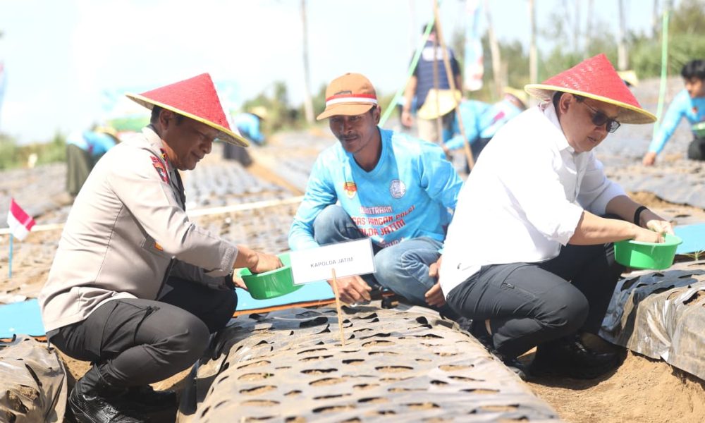 Dukung Swasembada Pangan, Polda Jatim dan Petani Tanam Bawang Putih Serentak
