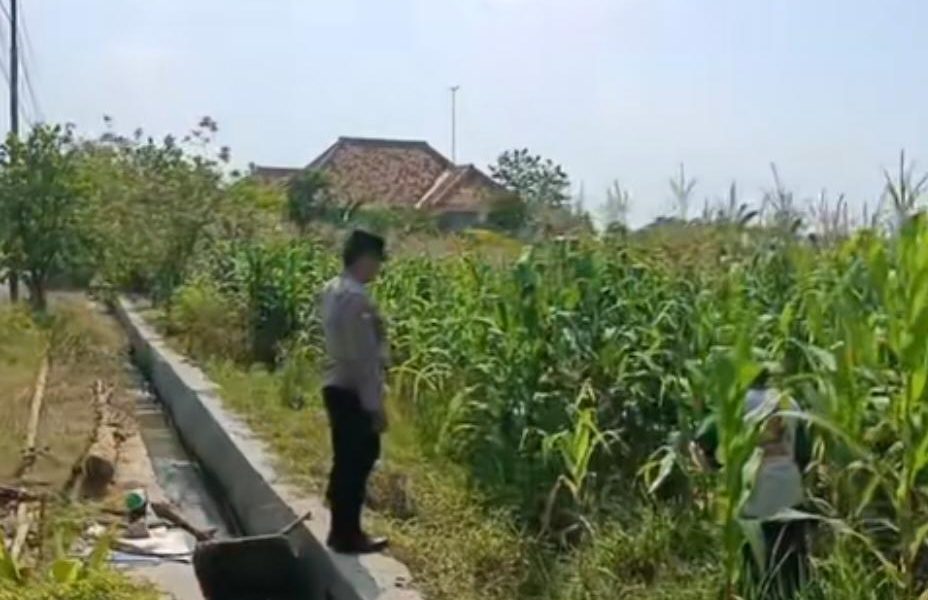 Bhabinkamtibmas Klampisrejo Sambangi Petani, Dukung Ketahanan Pangan Nasional