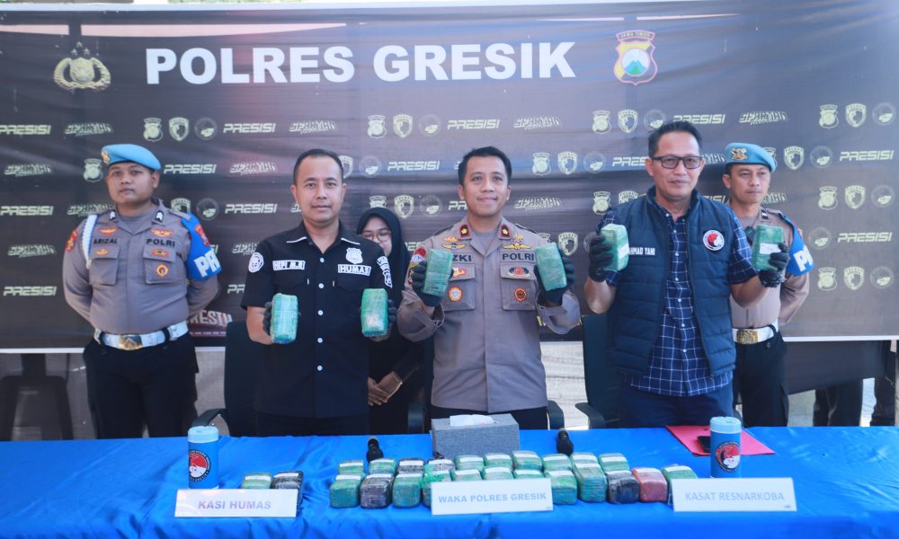 Polres Gresik Sita 10,8 Kg Ganja di Gudang Ekspedisi