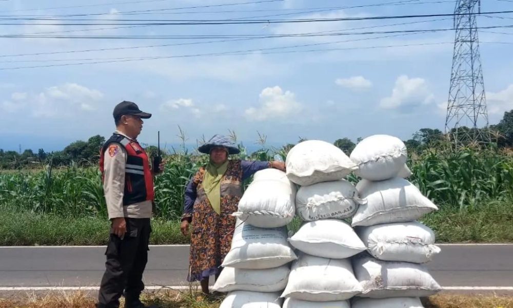 Bhabinkamtibmas Parasrejo Aktif Dampingi Petani, Dukung Ketahanan Pangan