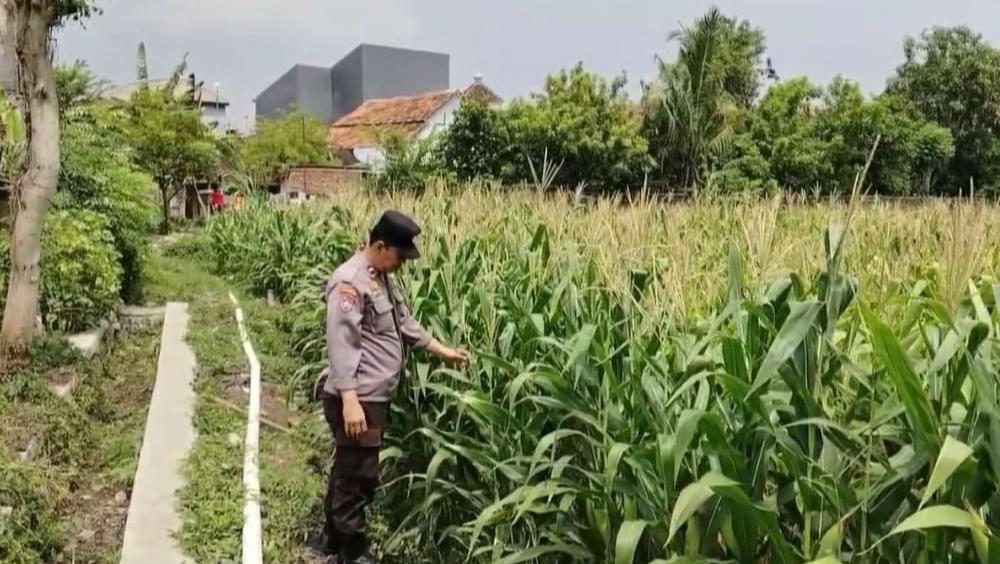 Bhabinkamtibmas Purworejo Dampingi Poktan, Dukung Ketahanan Pangan Menuju Swasembada Pangan