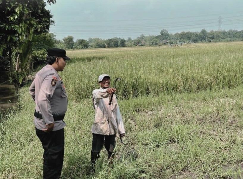 Sambangi Petani Pandanrejo, Bhabinkamtibmas Rejoso Dukung Ketahanan Pangan